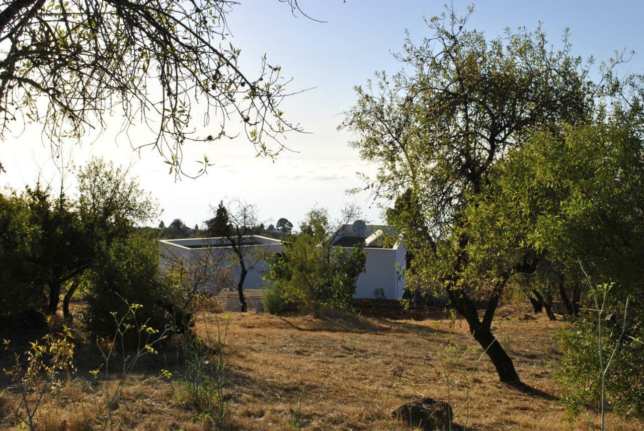 Villa Horizonte Puntagorda  Exterior photo